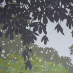 cote_canal_09