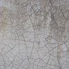 Aillaud_Reprise_5