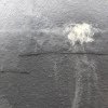 Aillaud_Reprise_7