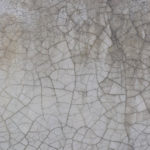 Aillaud_Reprise_5