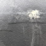 Aillaud_Reprise_7